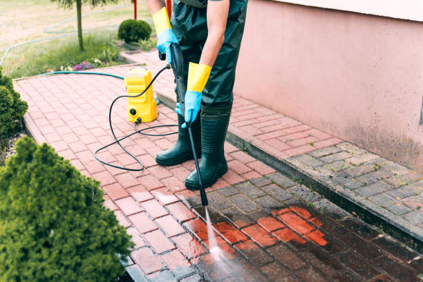 Best Solar Panel Cleaning  in Curwensville, PA